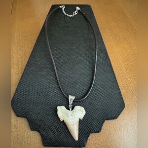 Authentic Shark Tooth Pendant Necklace on Brown Leather Cord